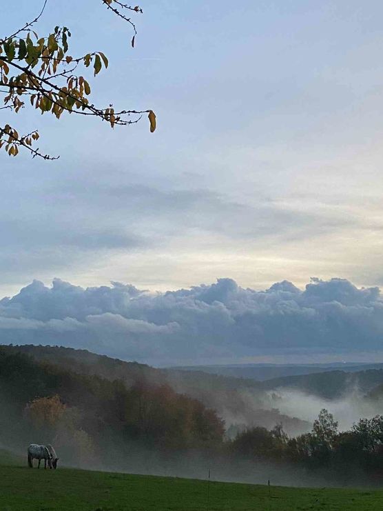 Bild von Minijuma3003 Bild von Minijuma3003