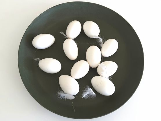 Fröhliche Ostern🐓🥚🐇 Fröhliche Ostern🐓🥚🐇