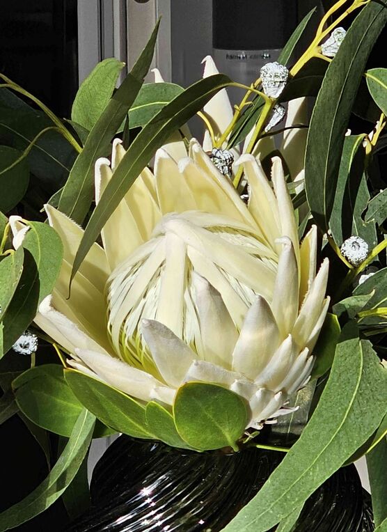 Bild von NYC Girl Bild von NYC Girl