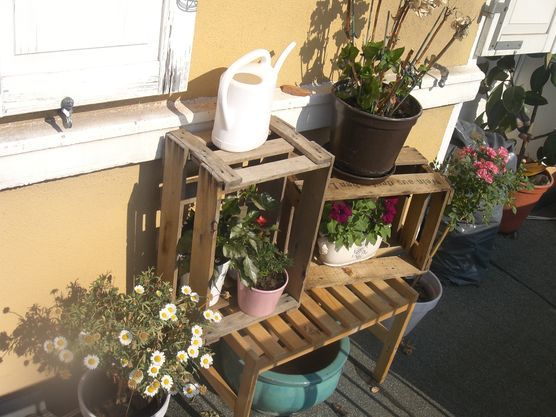 Unsere schmale Oase Unsere schmale Oase