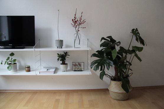 Bild von jnia Bild von jnia