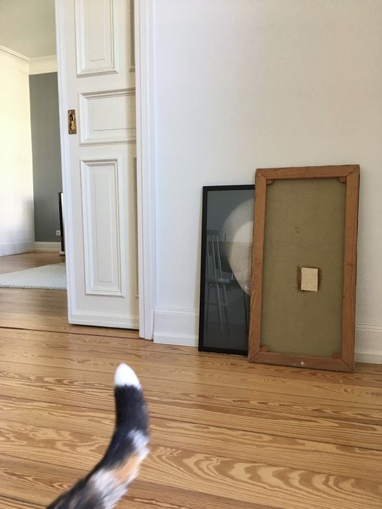 wenn der katzisstent zum wenn der katzisstent zum