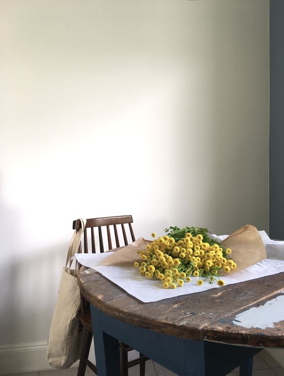 gruß aus der küche! gruß aus der küche!