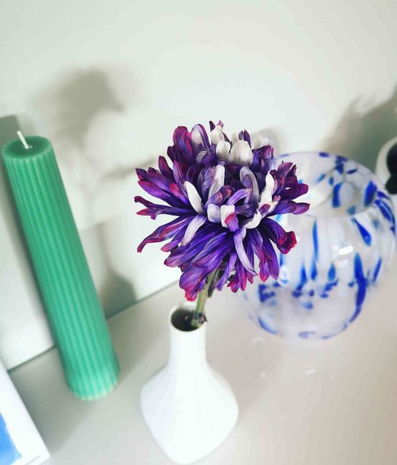 Bild von feine_bleibe Bild von feine_bleibe