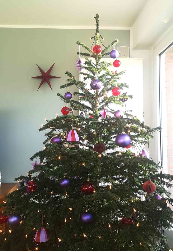 Bild von feine_bleibe Bild von feine_bleibe