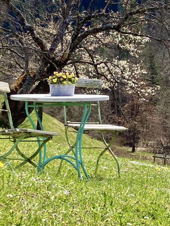 Bild von Lilalaunegarten Bild von Lilalaunegarten