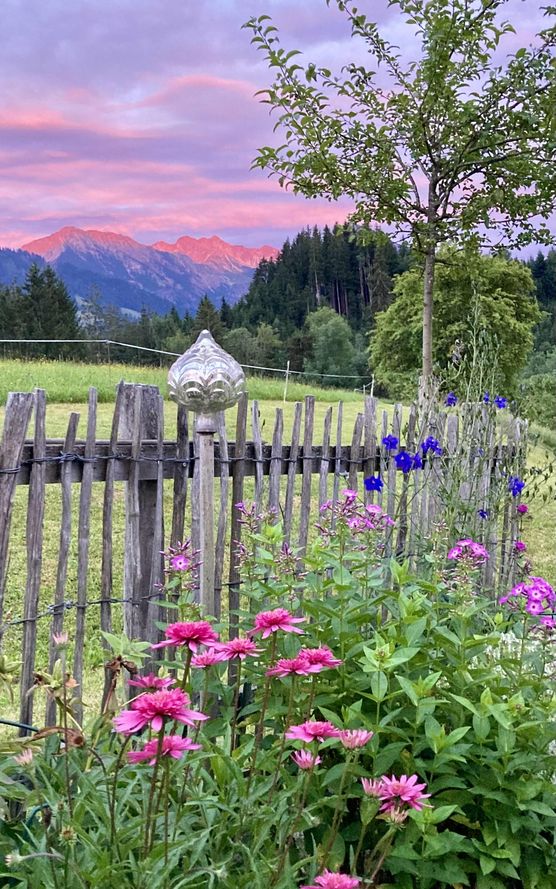 Bild von Lilalaunegarten Bild von Lilalaunegarten