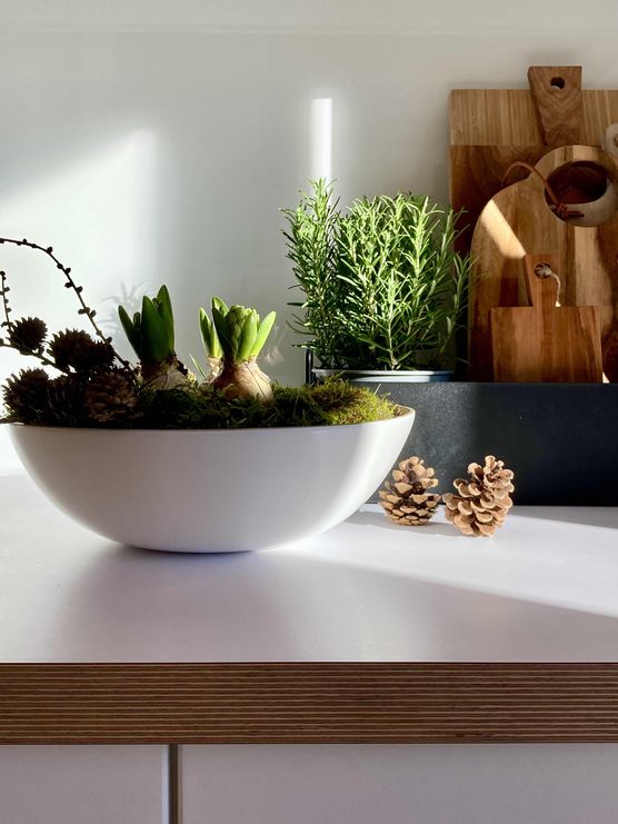 Bild von Lilalaunegarten Bild von Lilalaunegarten