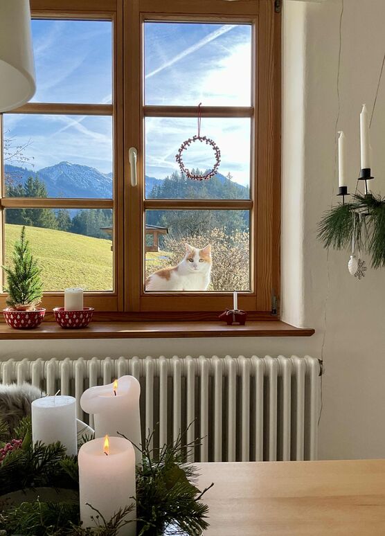 Bild von Lilalaunegarten Bild von Lilalaunegarten