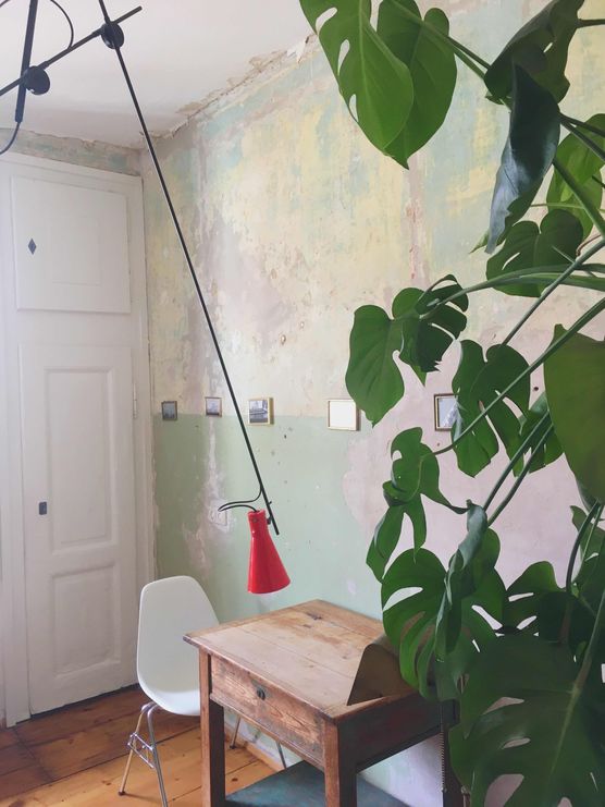 Bild von lisa.helenchen Bild von lisa.helenchen