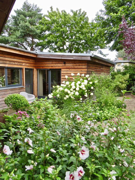 Der starke Regen hat Der starke Regen hat