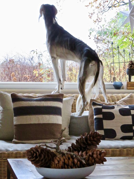 NA JA 🤪
aber die NA JA 🤪
aber die