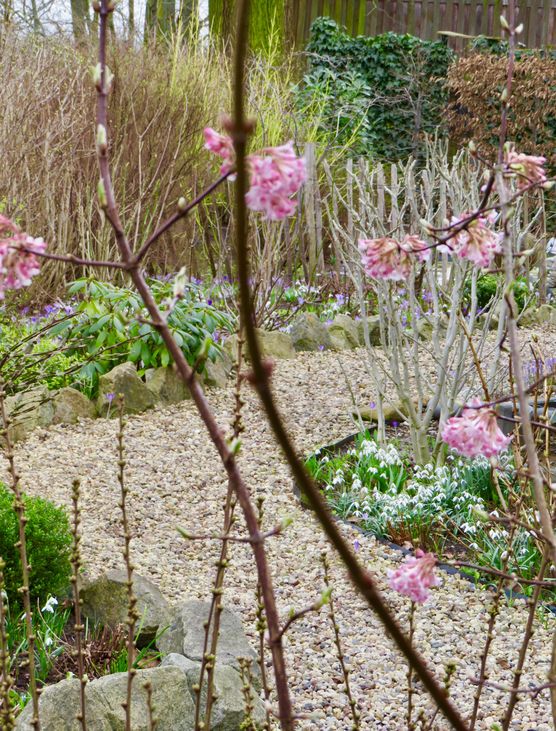 So ganz langsam kommt So ganz langsam kommt