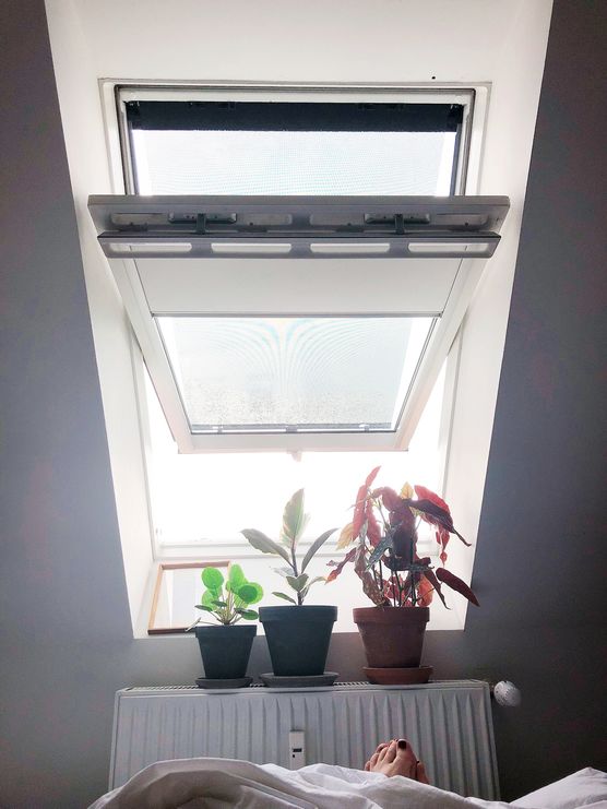 Morningmood, hier bleibe ich Morningmood, hier bleibe ich