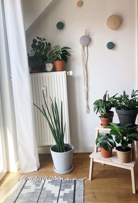 Mein neues Pflanzenhöckerchen macht Mein neues Pflanzenhöckerchen macht