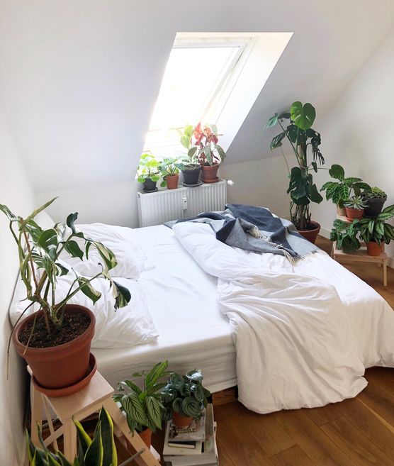 Du kannst nie genug Du kannst nie genug