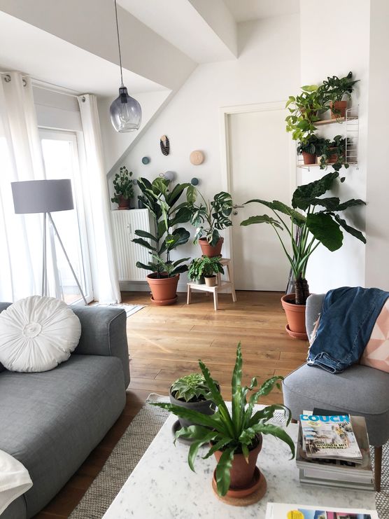 Endlose Pflanzenliebe 💚 Endlose Pflanzenliebe 💚