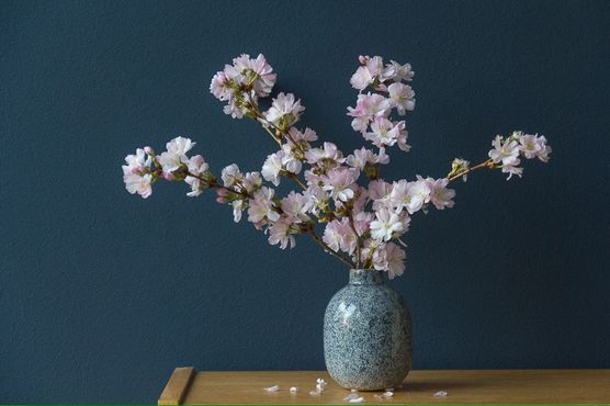 Stillleben Stillleben