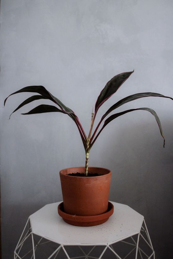 Habe lange warten müssen Habe lange warten müssen