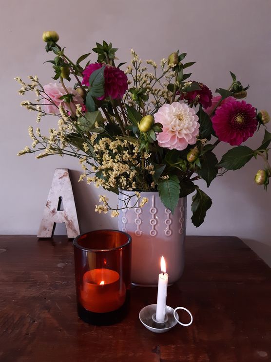 Dahlien purpurfarben Dahlien purpurfarben