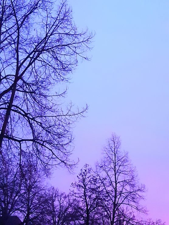 Gerade noch die tolle Gerade noch die tolle