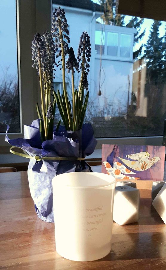 Bild von missnice Bild von missnice