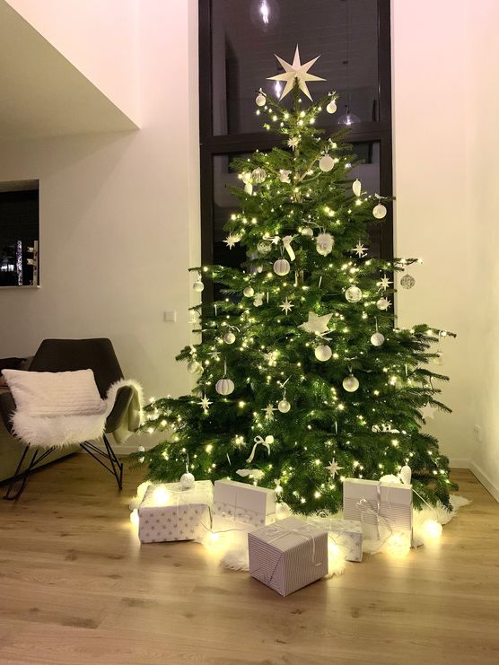 Unser Weihnachtsbaum steht schon. Unser Weihnachtsbaum steht schon.