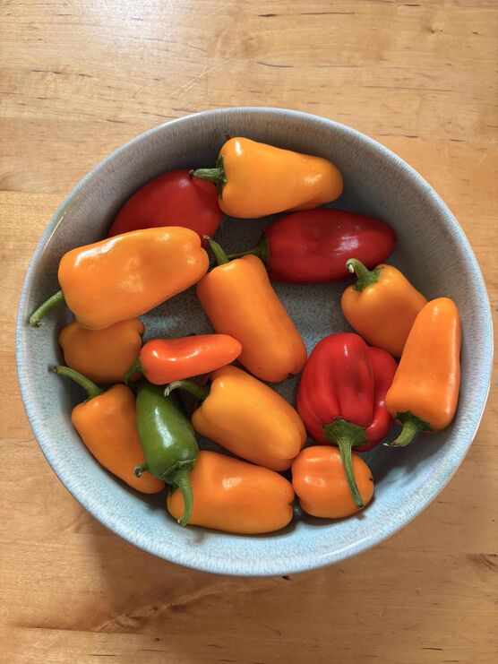 Bild von hej Bild von hej