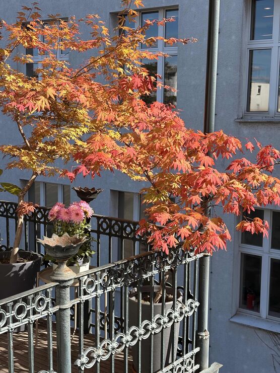 Bild von hej Bild von hej