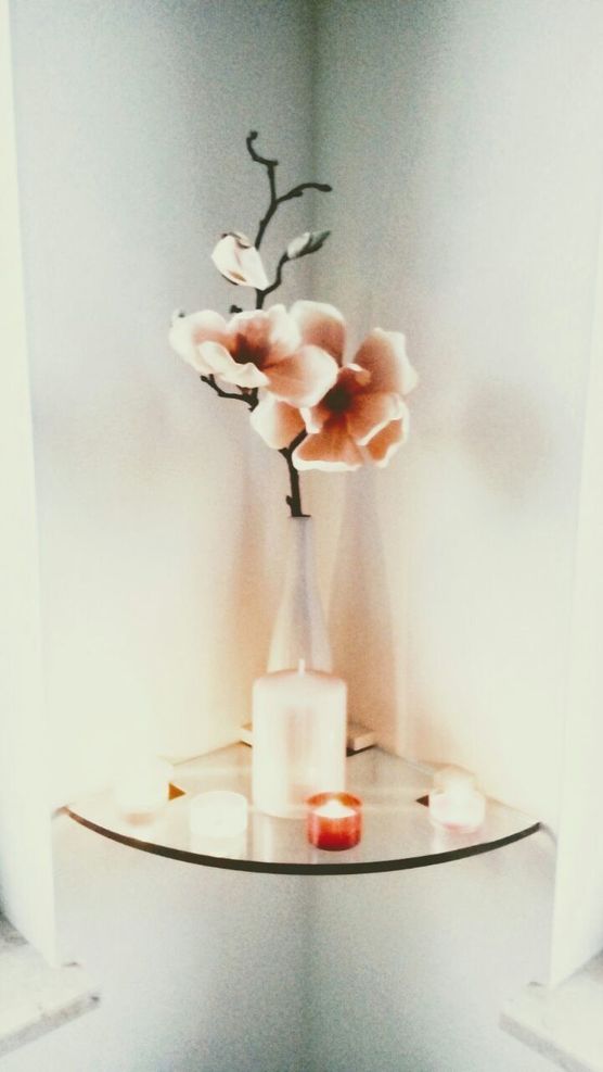 Frühling im Zimmer meiner Frühling im Zimmer meiner