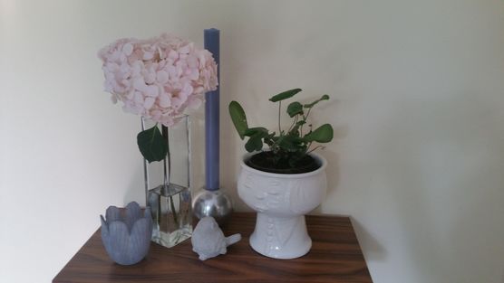 Überall in unserem Wohnzimmer Überall in unserem Wohnzimmer