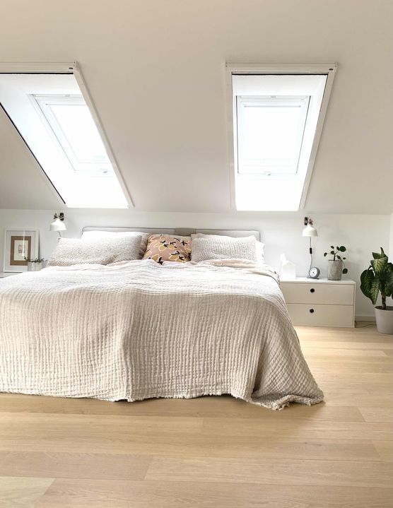 Bild von maschnei Bild von maschnei