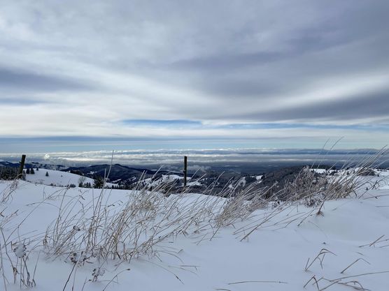 Bild von HappyHome Bild von HappyHome