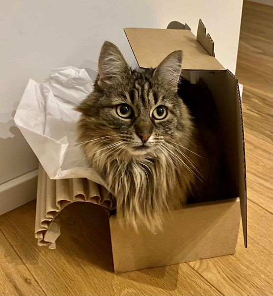 Bild von HappyHome Bild von HappyHome