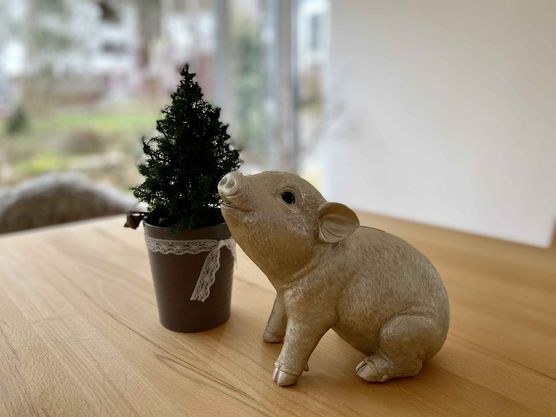 Bild von HappyHome Bild von HappyHome