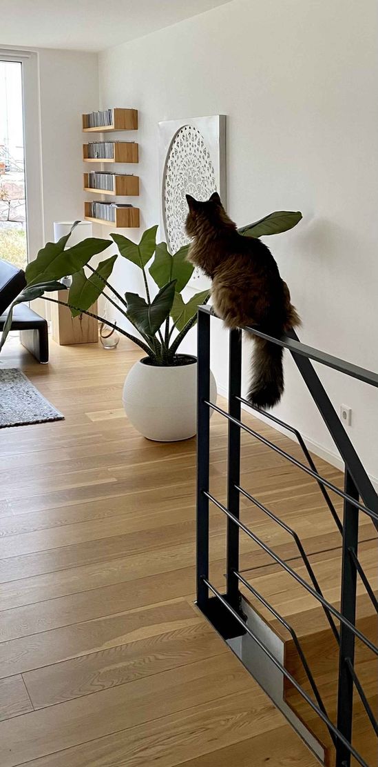 Bild von HappyHome Bild von HappyHome