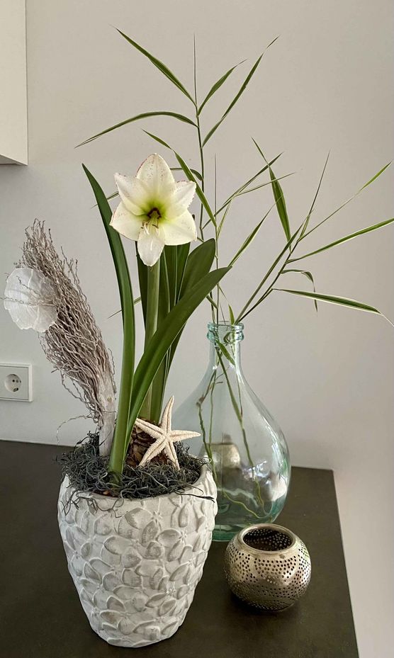 Bild von HappyHome Bild von HappyHome