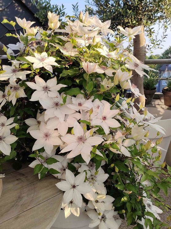 Bild von HappyLiving Bild von HappyLiving