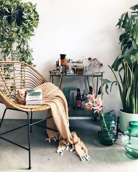 Grüne Oase Grüne Oase