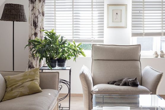 So sieht das Haus So sieht das Haus