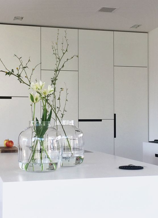 Tulpen aus dem eigenen Tulpen aus dem eigenen