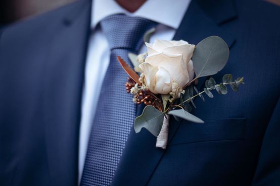 Bild von wunderfisch Bild von wunderfisch