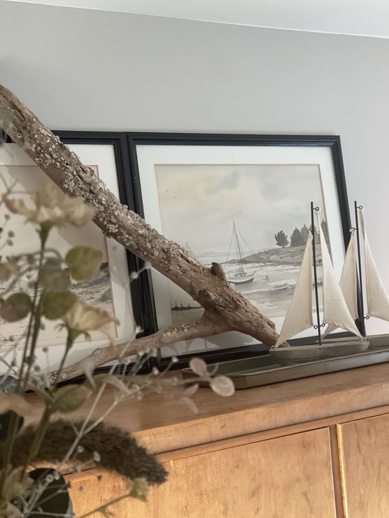 Die Aquarellbilder habe ich Die Aquarellbilder habe ich