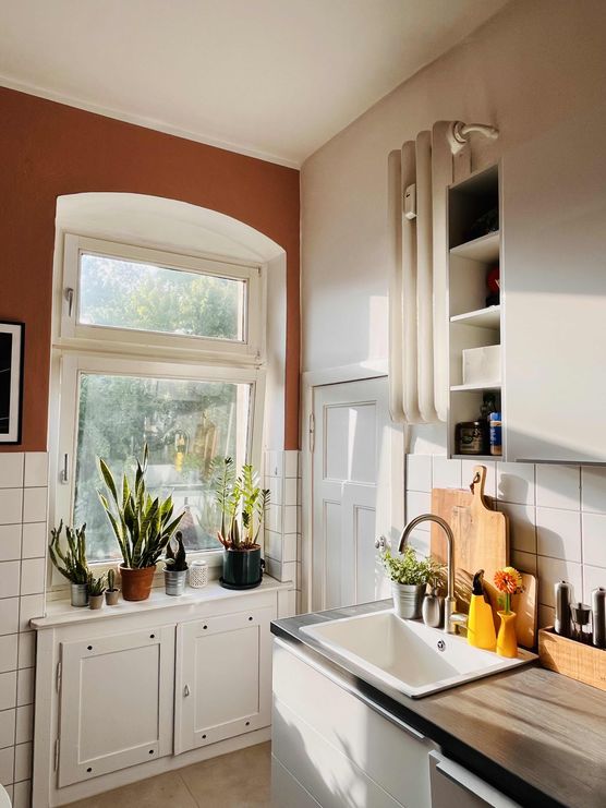 Bild von altbaudschungel Bild von altbaudschungel