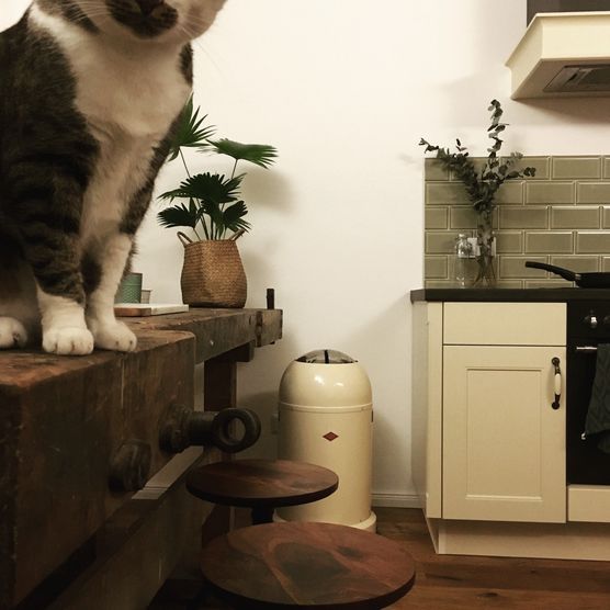 Besuch in der Küche Besuch in der Küche