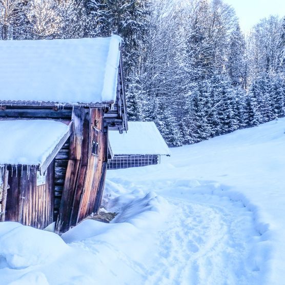 Inspiration weiß Holz Inspiration weiß Holz