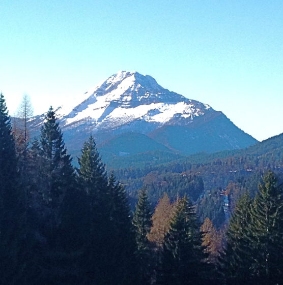 Gruss aus unserem Revier Gruss aus unserem Revier