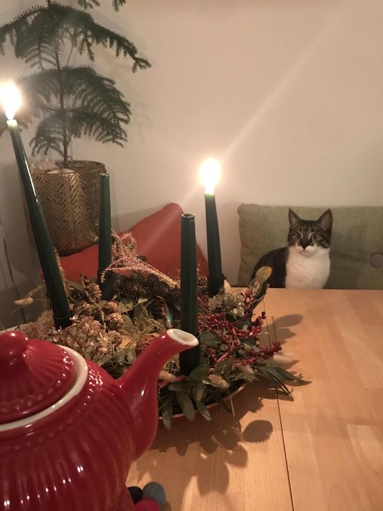 Bild von Lucy120696 Bild von Lucy120696