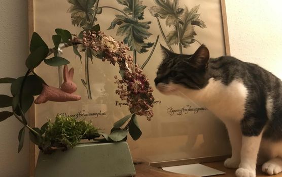 Bild von Lucy120696 Bild von Lucy120696