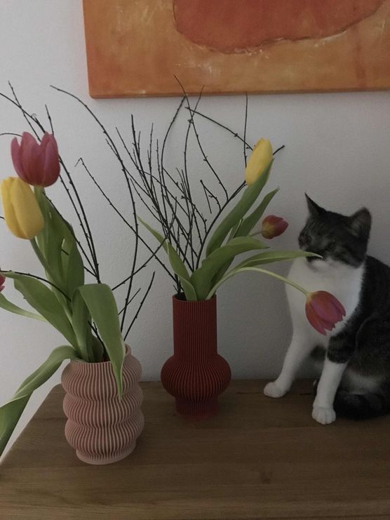 Bild von Lucy120696 Bild von Lucy120696